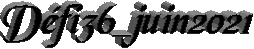 Dfi36_juin2021